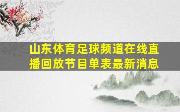 山东体育足球频道在线直播回放节目单表最新消息