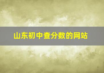 山东初中查分数的网站