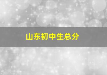 山东初中生总分