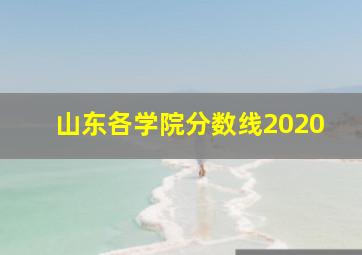 山东各学院分数线2020