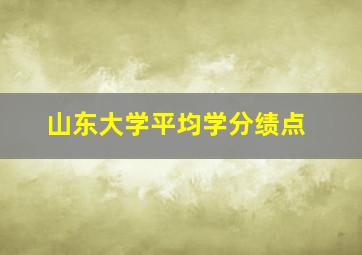 山东大学平均学分绩点