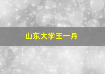 山东大学王一丹