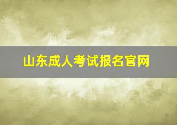 山东成人考试报名官网