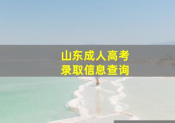 山东成人高考录取信息查询