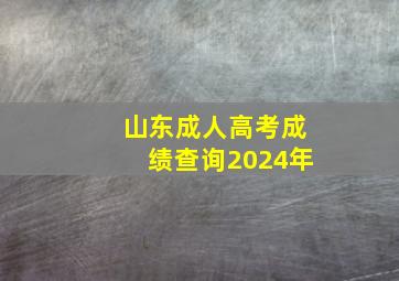 山东成人高考成绩查询2024年