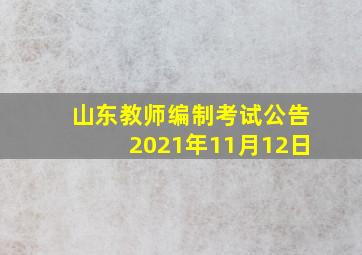 山东教师编制考试公告2021年11月12日