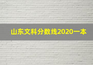 山东文科分数线2020一本