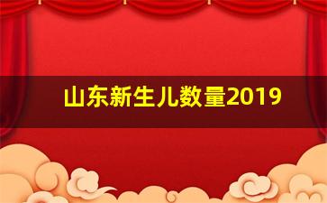 山东新生儿数量2019