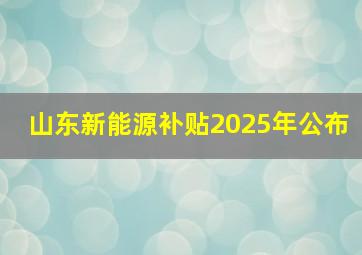 山东新能源补贴2025年公布