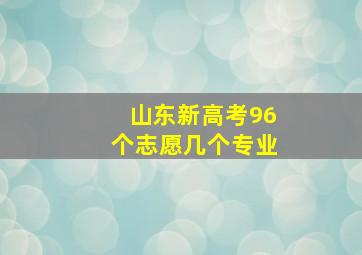 山东新高考96个志愿几个专业