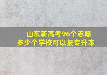 山东新高考96个志愿多少个学校可以报专升本