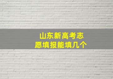 山东新高考志愿填报能填几个