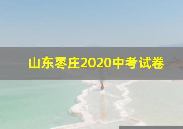 山东枣庄2020中考试卷