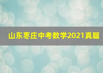 山东枣庄中考数学2021真题