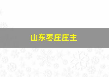 山东枣庄庄主