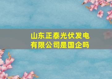 山东正泰光伏发电有限公司是国企吗