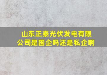 山东正泰光伏发电有限公司是国企吗还是私企啊