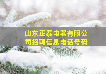 山东正泰电器有限公司招聘信息电话号码