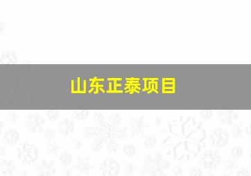 山东正泰项目