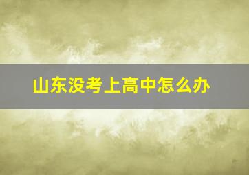 山东没考上高中怎么办