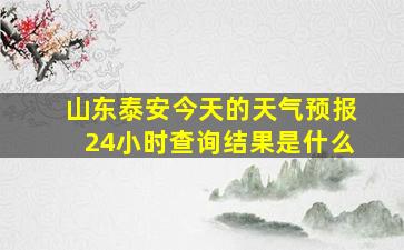 山东泰安今天的天气预报24小时查询结果是什么