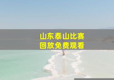 山东泰山比赛回放免费观看