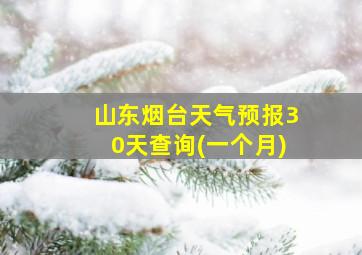 山东烟台天气预报30天查询(一个月)