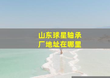 山东球星轴承厂地址在哪里