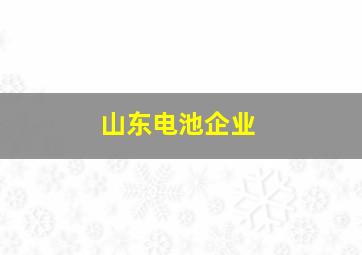 山东电池企业