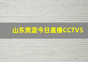 山东男篮今日直播CCTV5