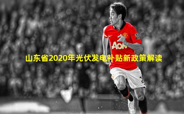 山东省2020年光伏发电补贴新政策解读