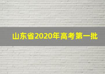 山东省2020年高考第一批