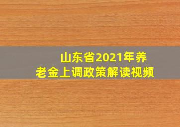 山东省2021年养老金上调政策解读视频