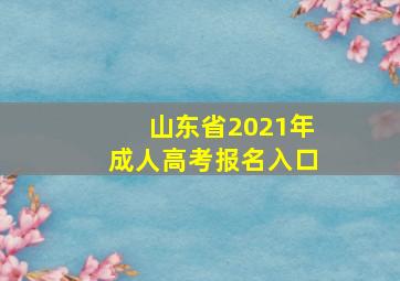 山东省2021年成人高考报名入口