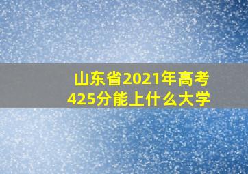 山东省2021年高考425分能上什么大学