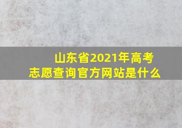 山东省2021年高考志愿查询官方网站是什么