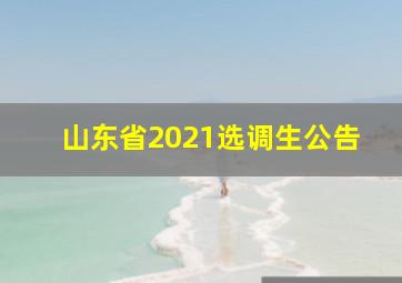 山东省2021选调生公告