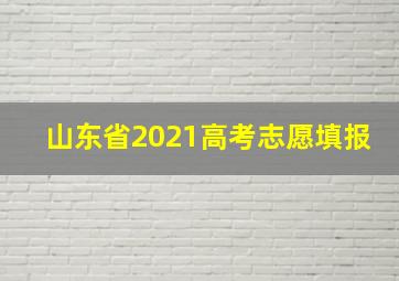 山东省2021高考志愿填报