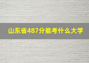 山东省487分能考什么大学