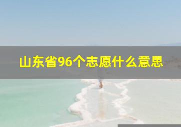 山东省96个志愿什么意思