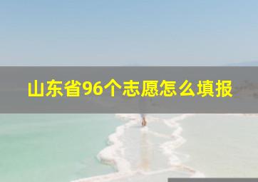 山东省96个志愿怎么填报