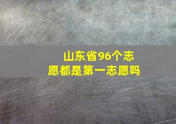 山东省96个志愿都是第一志愿吗