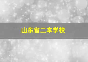 山东省二本学校