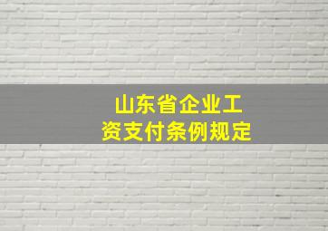 山东省企业工资支付条例规定