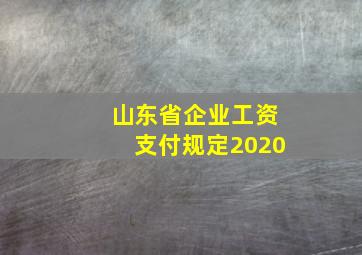 山东省企业工资支付规定2020