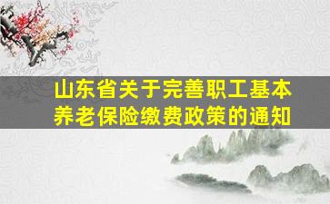 山东省关于完善职工基本养老保险缴费政策的通知