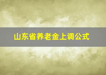 山东省养老金上调公式