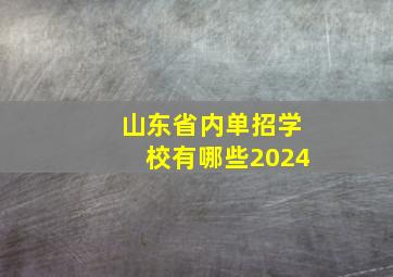 山东省内单招学校有哪些2024