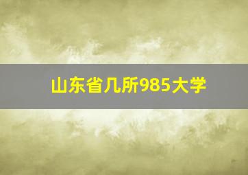 山东省几所985大学