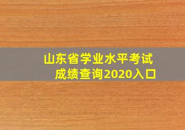 山东省学业水平考试成绩查询2020入口